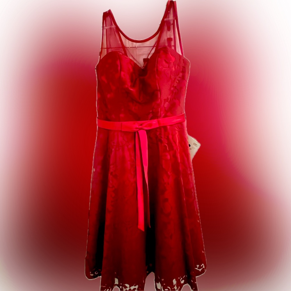 Cranberry Levory J Do Your Own Princess Evening Corset Gown